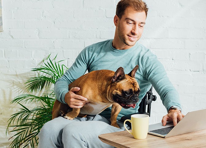 man and dog looking at laptop