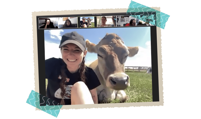 Team members' virtual outing on a tour of a farm